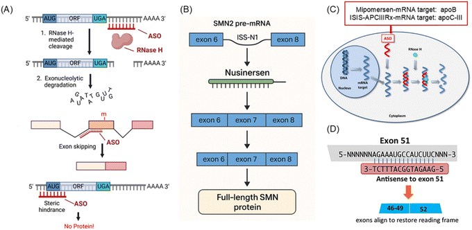 image file: d5sc06966a-f2.tif