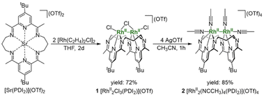 image file: d5sc07037f-s1.tif