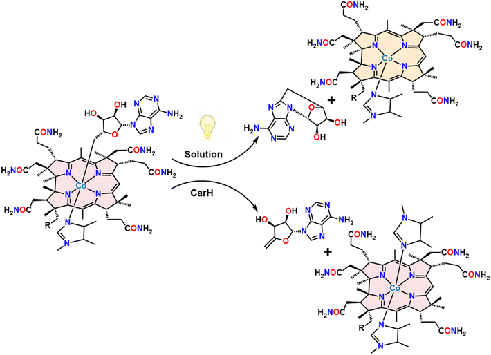 image file: d5sc07054f-f1.tif