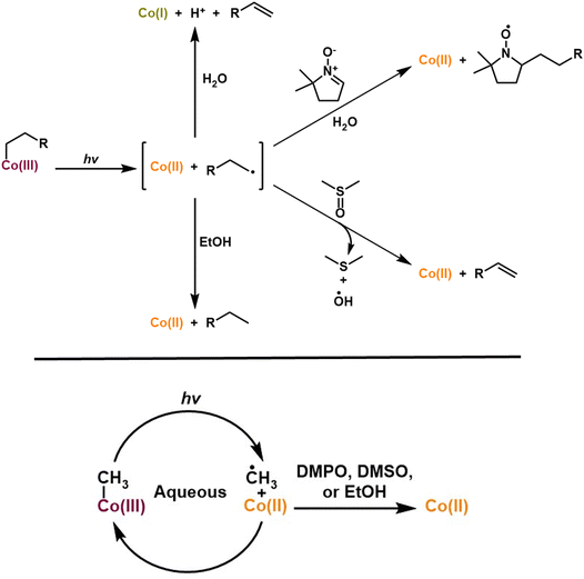 image file: d5sc07054f-f10.tif