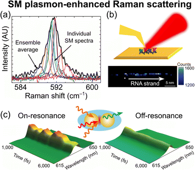 image file: d5sc07076g-f3.tif
