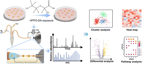 image file: d5sc07089a-f1.tif