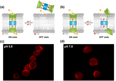 image file: d5sc07123b-f9.tif