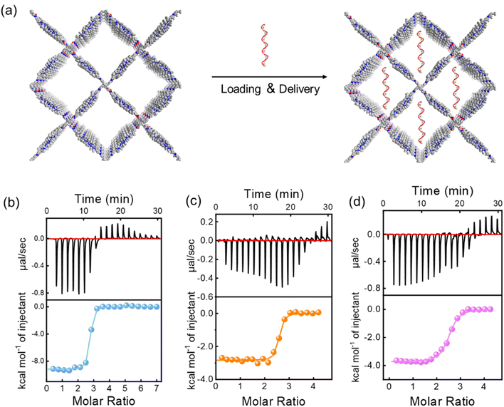 image file: d5sc07130e-f7.tif