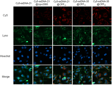 image file: d5sc07130e-f8.tif