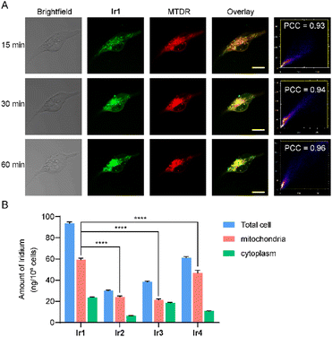 image file: d5sc07181j-f2.tif