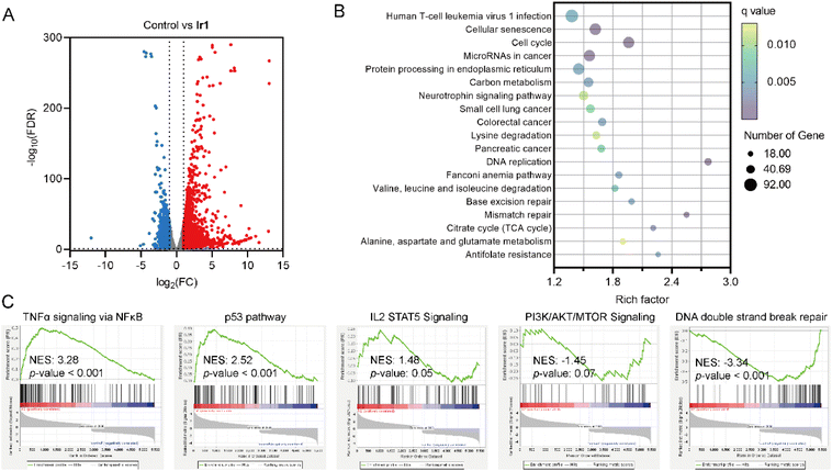 image file: d5sc07181j-f6.tif