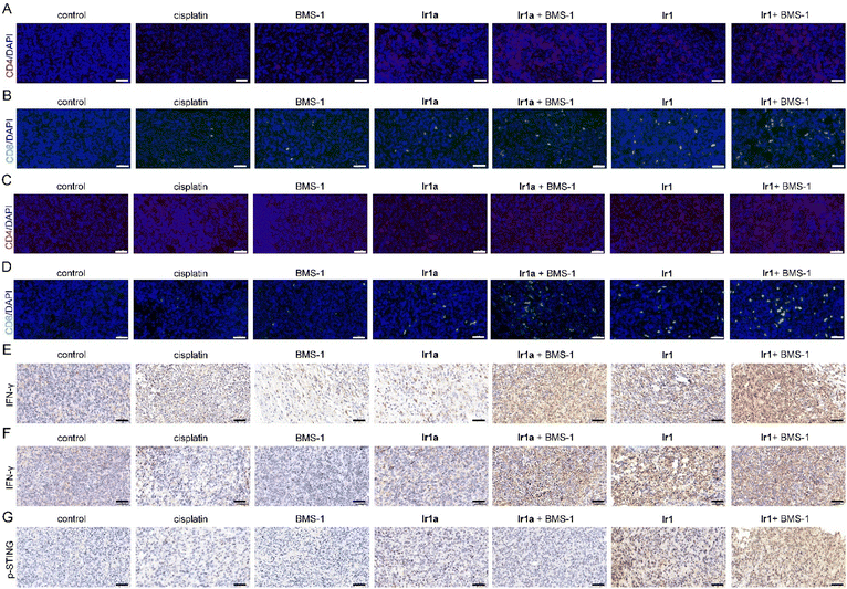 image file: d5sc07181j-f8.tif