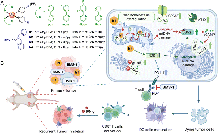 image file: d5sc07181j-s1.tif