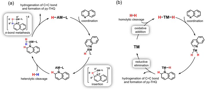 image file: d5sc07195j-f5.tif