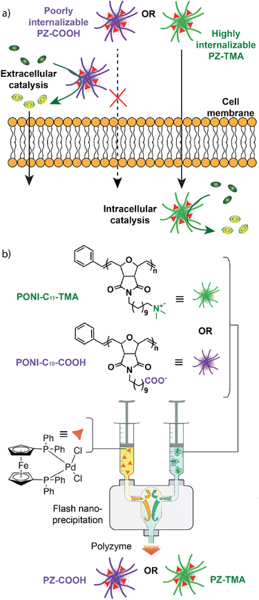 image file: d5sc07223a-f1.tif