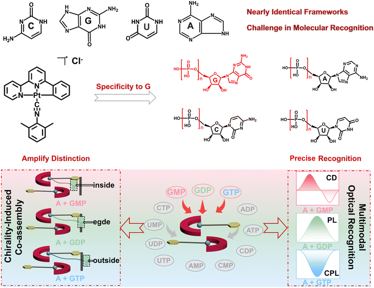 image file: d5sc07250f-s1.tif