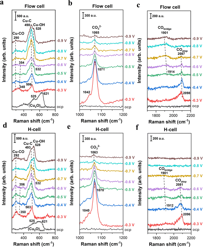 image file: d5sc07260c-f2.tif