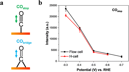 image file: d5sc07260c-f3.tif