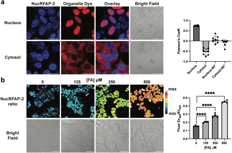 image file: d5sc07280h-f2.tif
