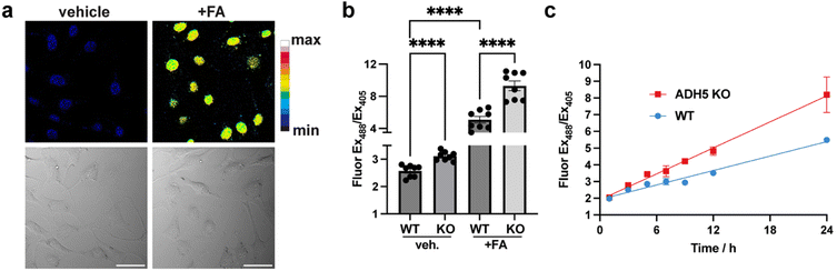 image file: d5sc07280h-f3.tif