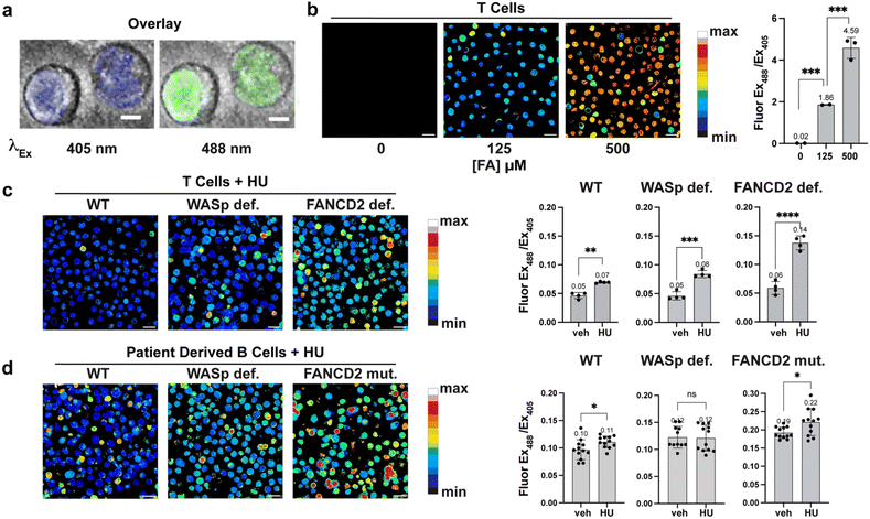 image file: d5sc07280h-f4.tif