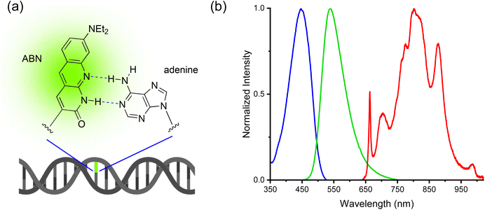 image file: d5sc07287e-f1.tif