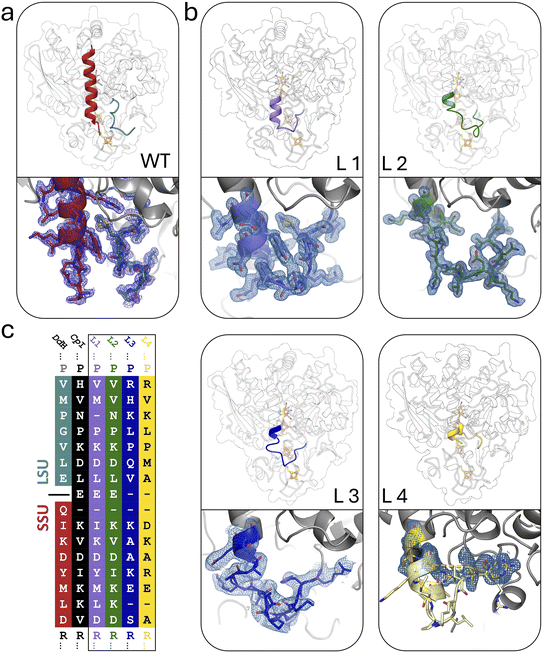 image file: d5sc07299a-f2.tif