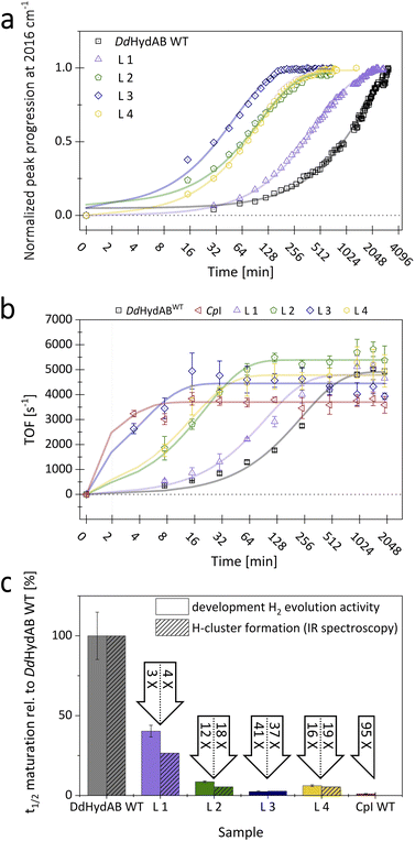 image file: d5sc07299a-f3.tif