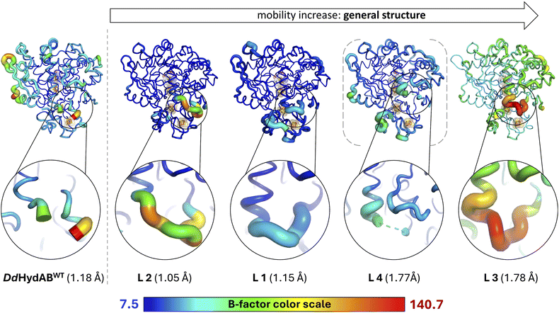 image file: d5sc07299a-f6.tif