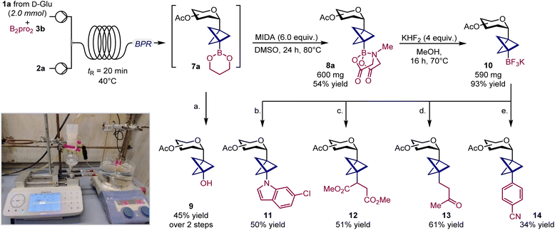 image file: d5sc07328f-s2.tif