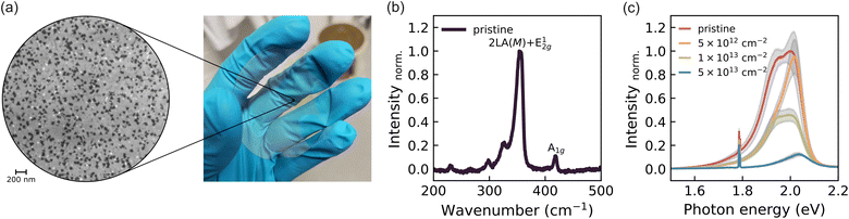 image file: d5sc07343j-f1.tif