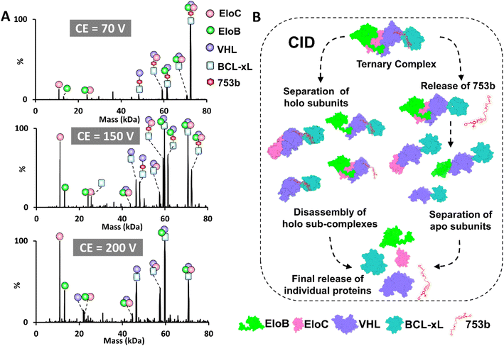 image file: d5sc07400b-f3.tif