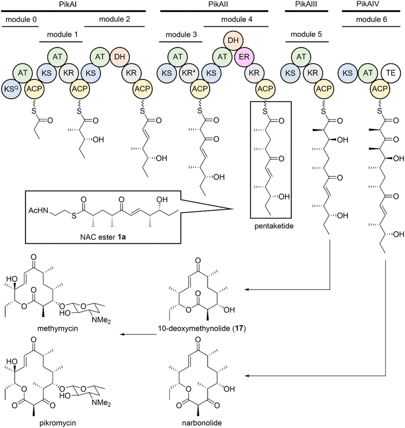 image file: d5sc07470c-f1.tif