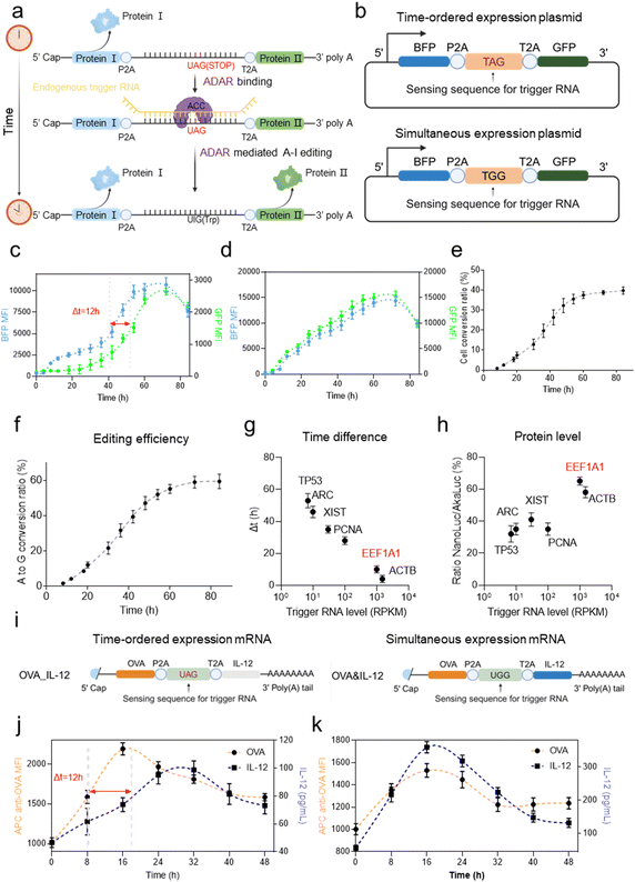 image file: d5sc07482g-f1.tif