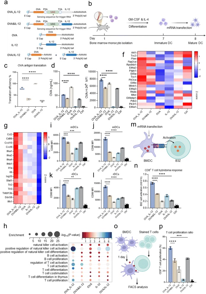 image file: d5sc07482g-f2.tif
