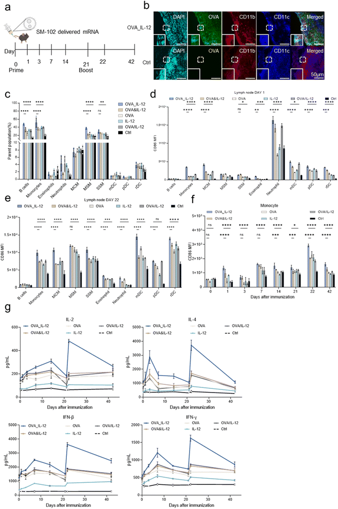 image file: d5sc07482g-f3.tif