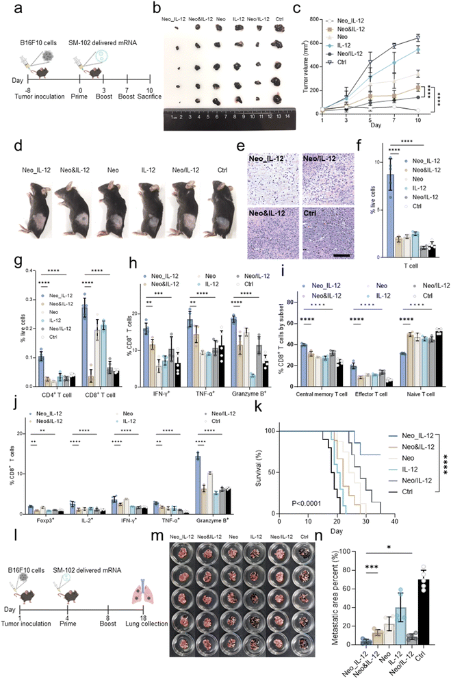 image file: d5sc07482g-f5.tif