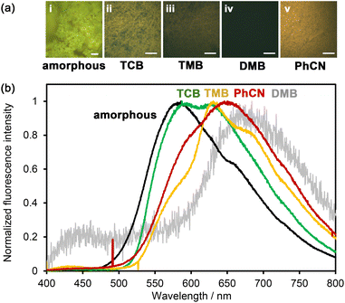 image file: d5sc07488f-f7.tif
