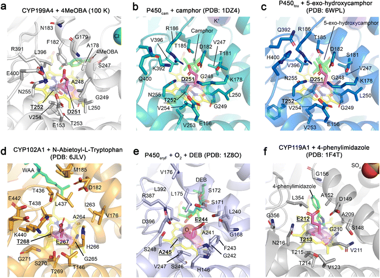 image file: d5sc07539d-f5.tif