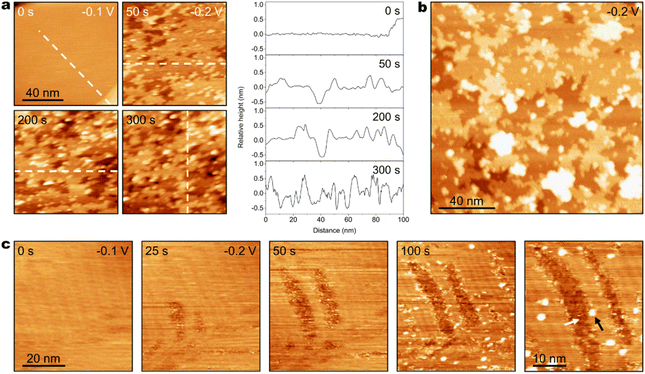 image file: d5sc07564e-f2.tif