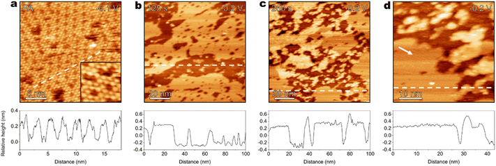 image file: d5sc07564e-f4.tif