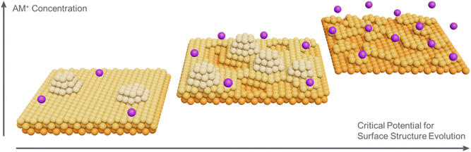 image file: d5sc07564e-s1.tif