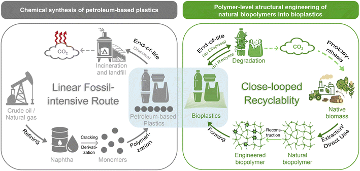 image file: d5sc07592k-s1.tif