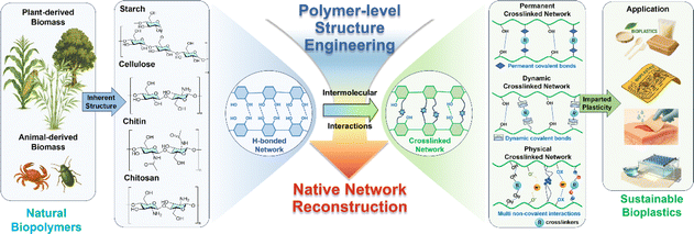 image file: d5sc07592k-s2.tif