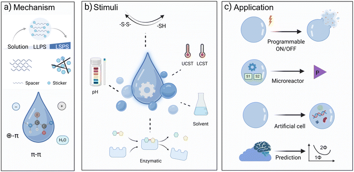 image file: d5sc07607b-f1.tif