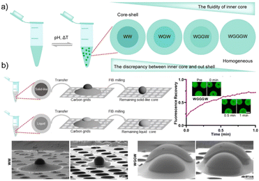 image file: d5sc07607b-f3.tif