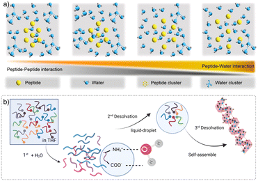 image file: d5sc07607b-f4.tif