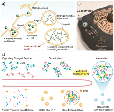 image file: d5sc07607b-f7.tif