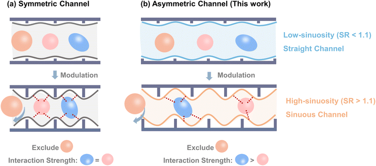 image file: d5sc07611k-s1.tif