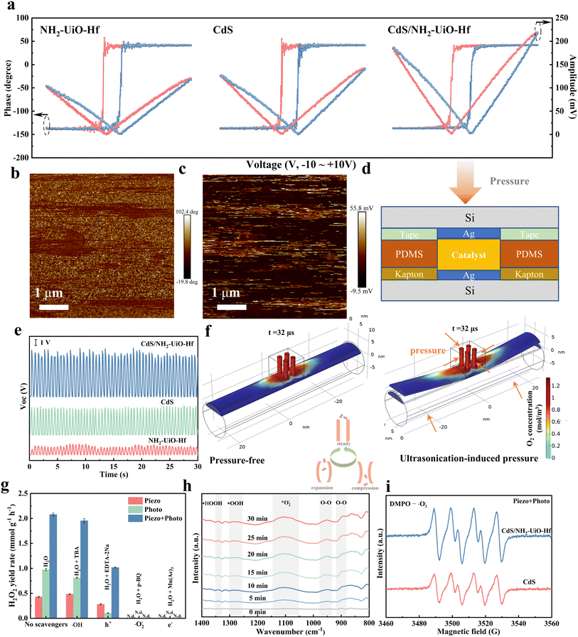 image file: d5sc07619f-f5.tif