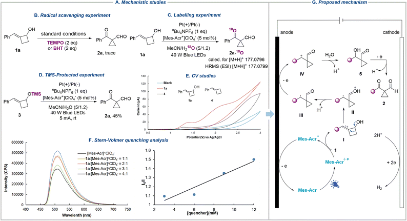image file: d5sc07637d-f3.tif
