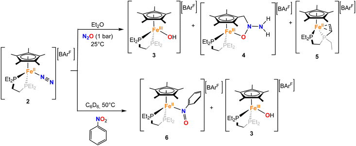 image file: d5sc07656k-s2.tif
