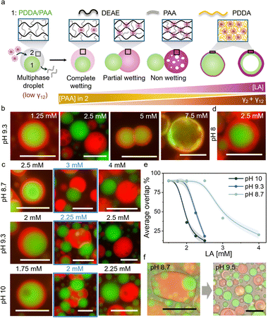 image file: d5sc07783d-f2.tif