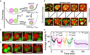 image file: d5sc07783d-f3.tif